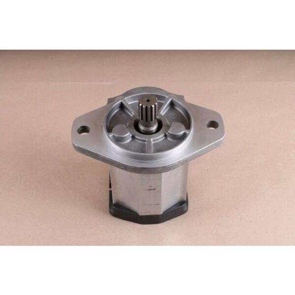 New 07399263 Rexroth Bosch Gear Pump #1 image